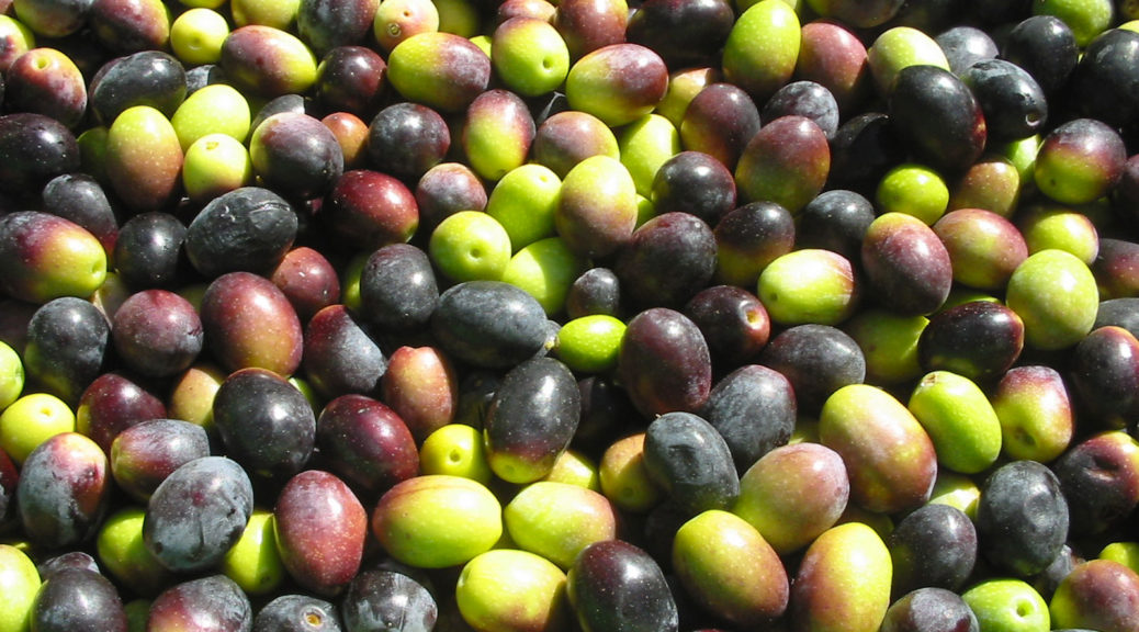 olio extravergine oliva 1038x576